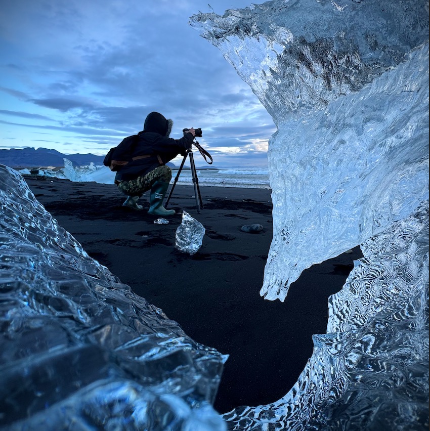 Avatar for Wilfredo Arenas